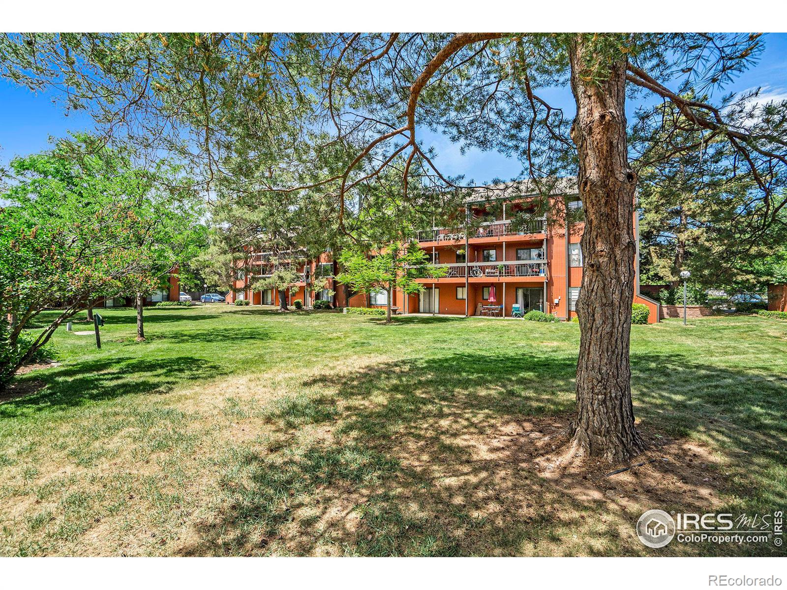 MLS Image #14 for 1625 w elizabeth street,fort collins, Colorado