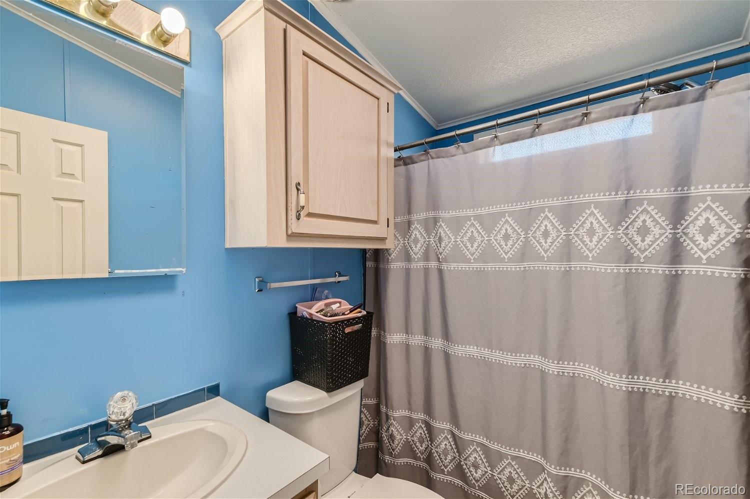 MLS Image #19 for 421  zante way,lochbuie, Colorado