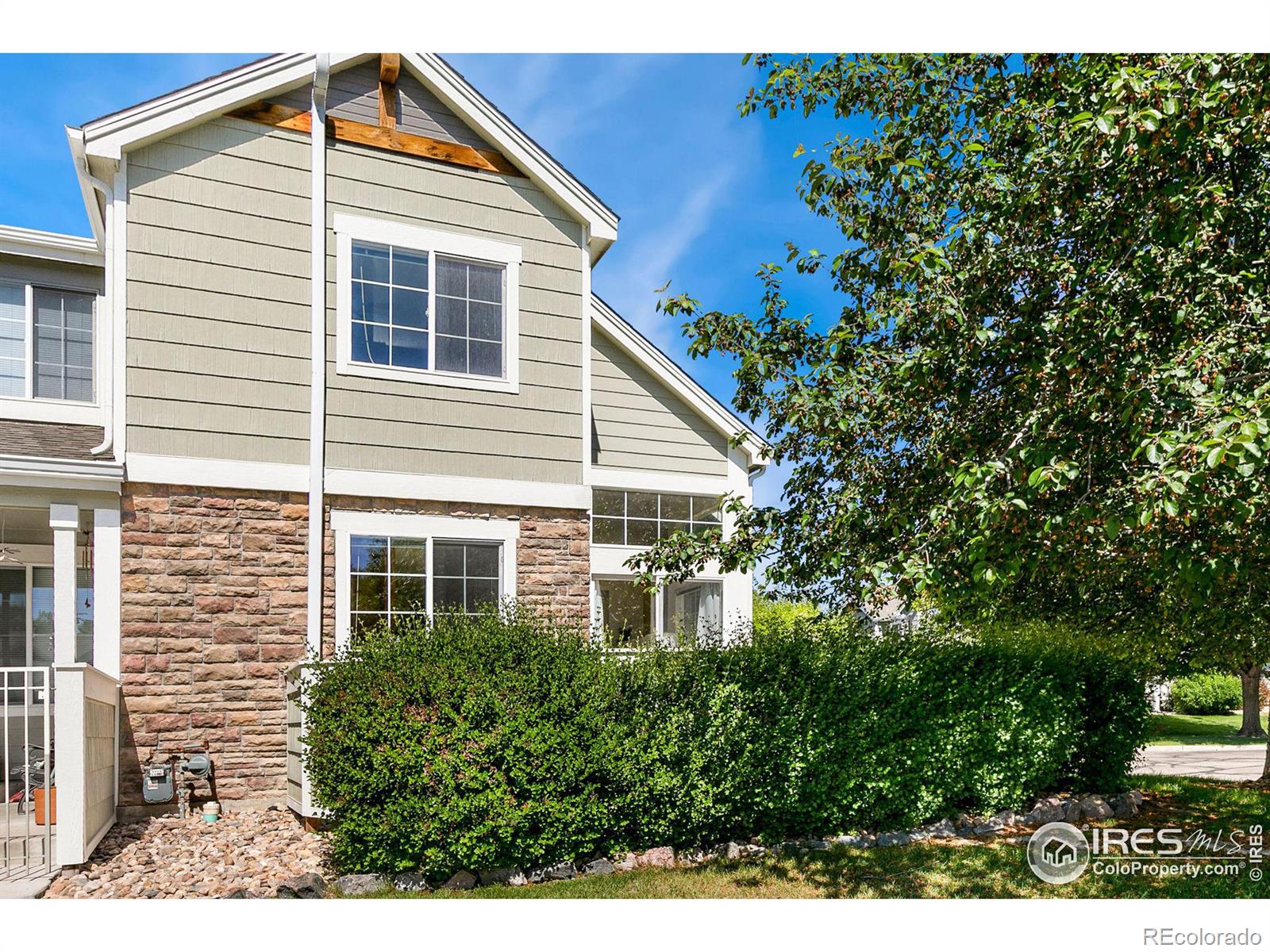 MLS Image #18 for 805  summer hawk drive,longmont, Colorado