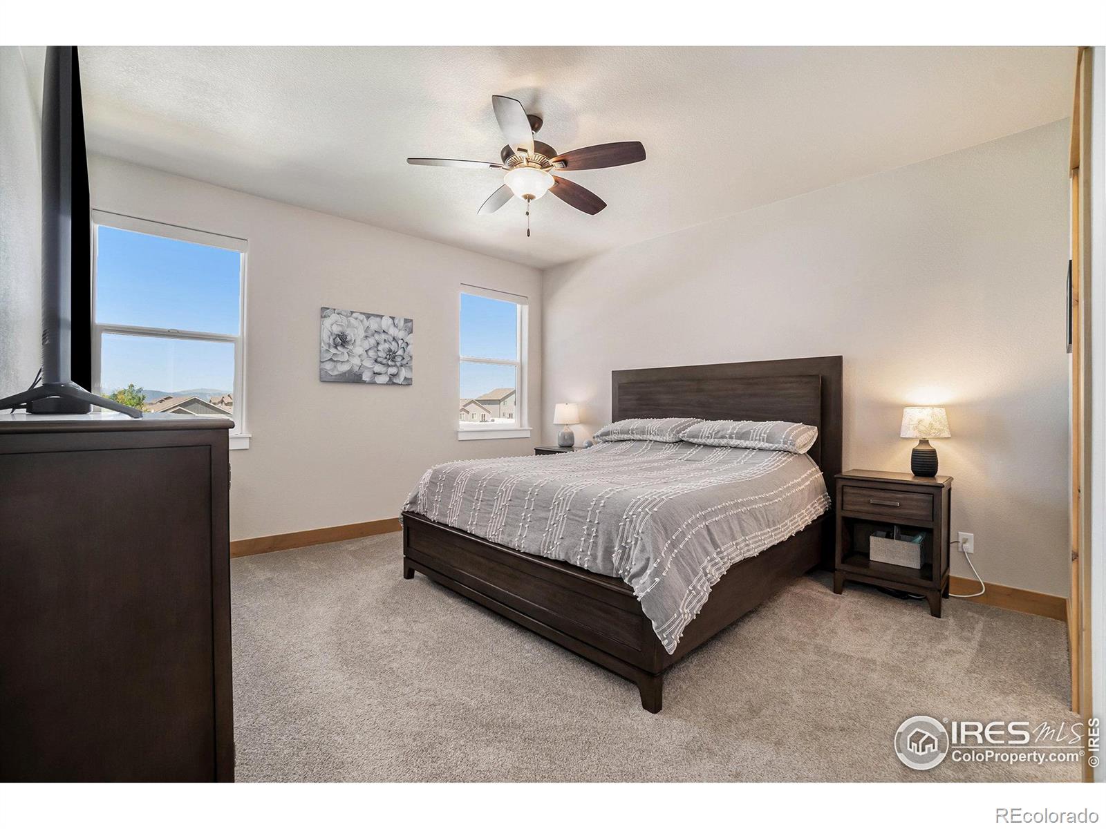 MLS Image #11 for 4516  longmead drive,windsor, Colorado