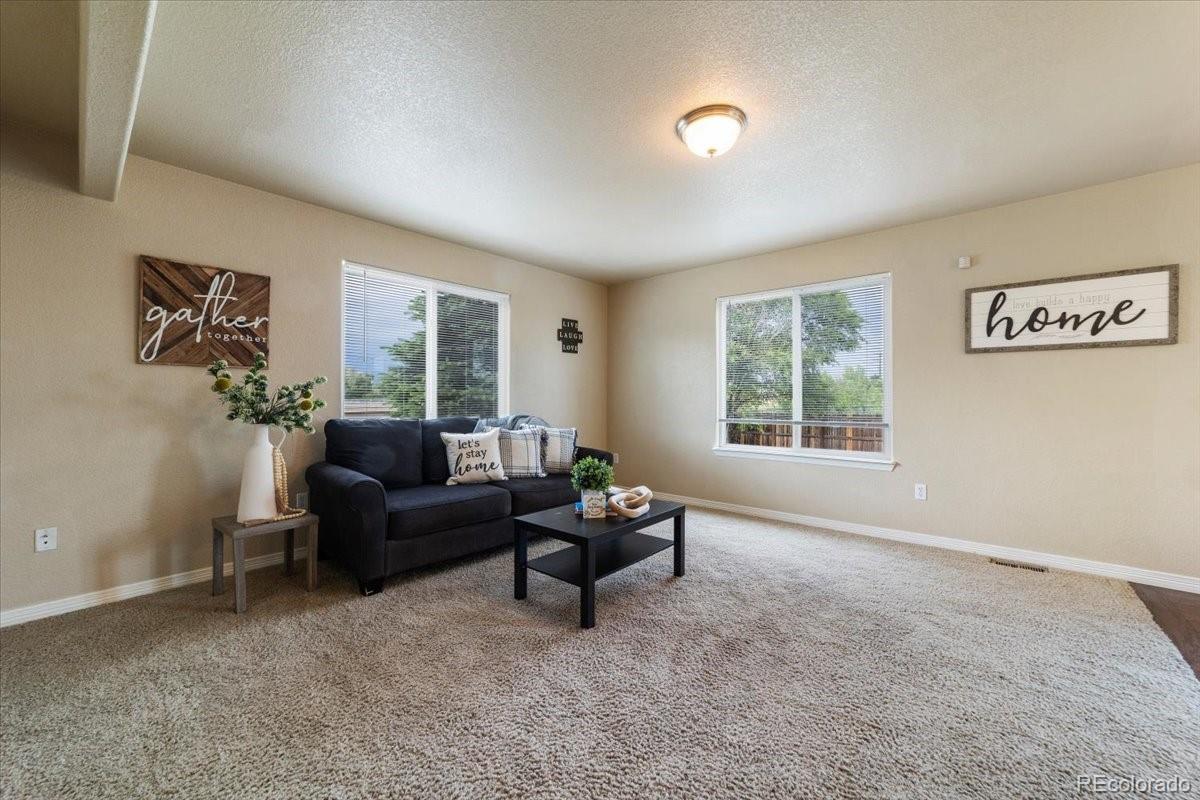 MLS Image #7 for 2672  sierra springs drive,colorado springs, Colorado