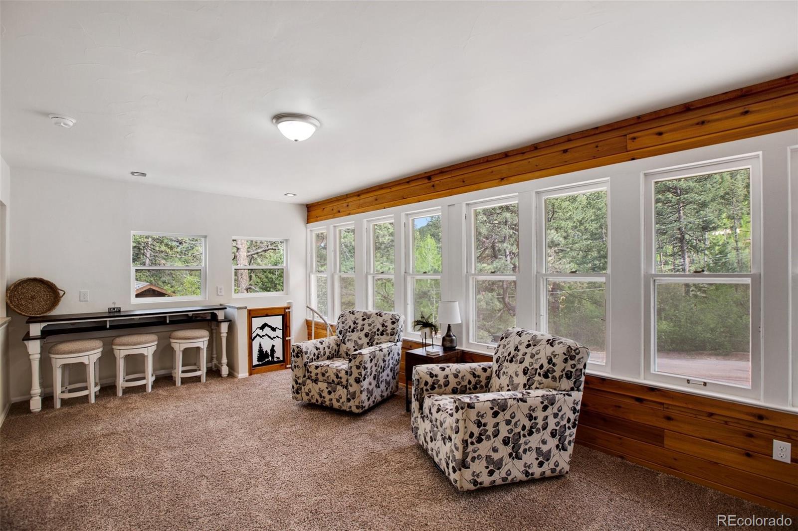 MLS Image #13 for 11250  belvidere av ,green mountain falls, Colorado