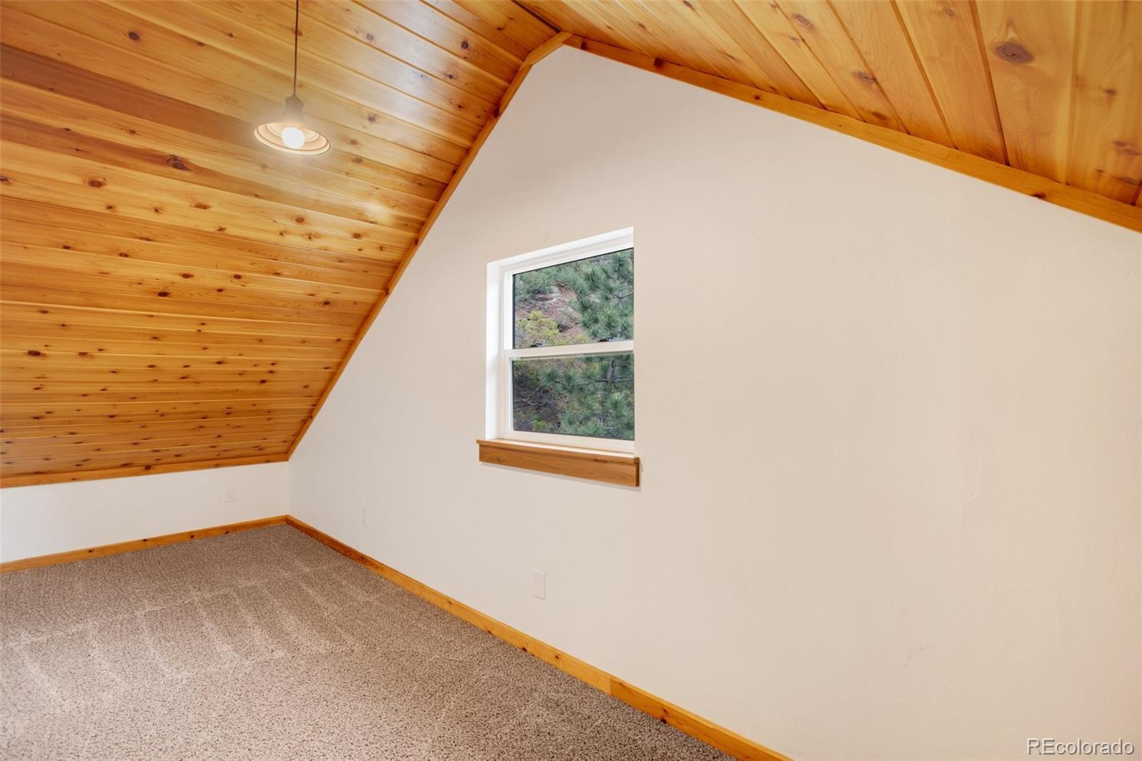 MLS Image #30 for 11250  belvidere av ,green mountain falls, Colorado