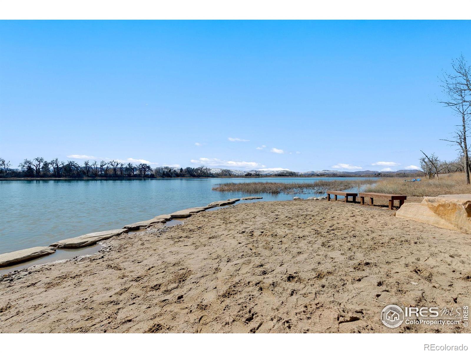 MLS Image #2 for 2809  brightwater court,fort collins, Colorado