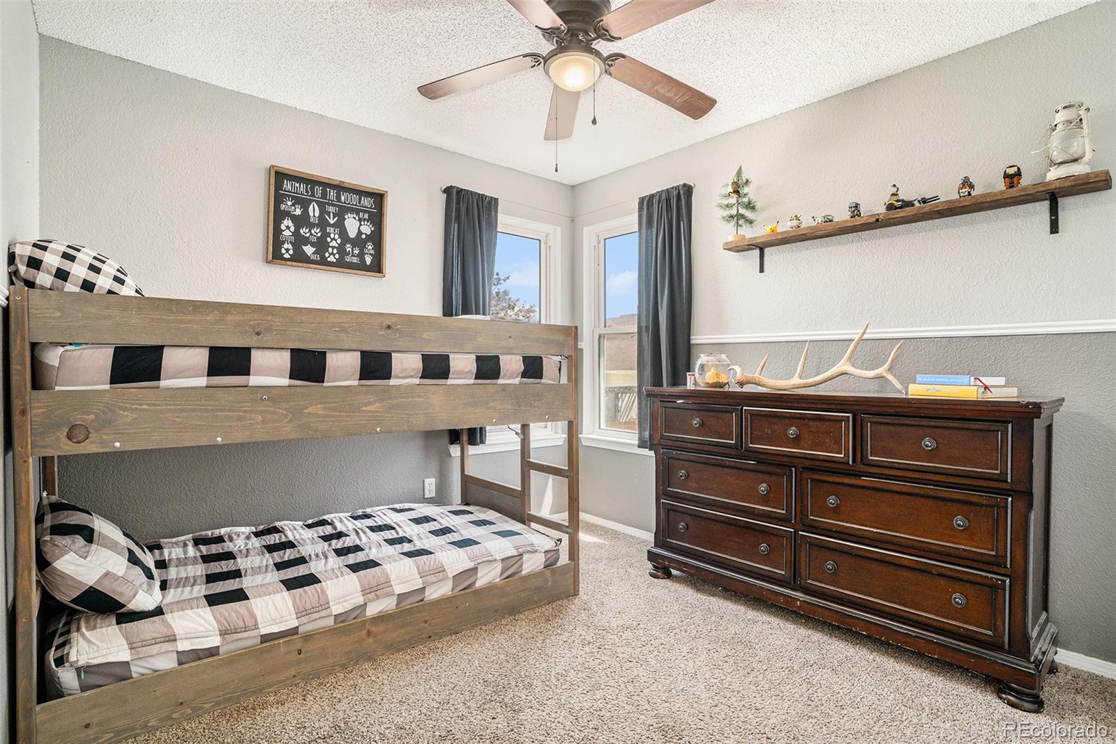 MLS Image #14 for 9328  daystar terrace,colorado springs, Colorado