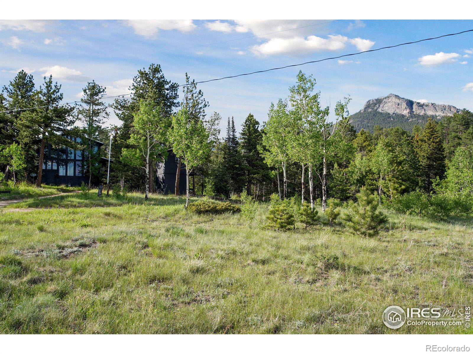 MLS Image #0 for 255  bill waite road,allenspark, Colorado