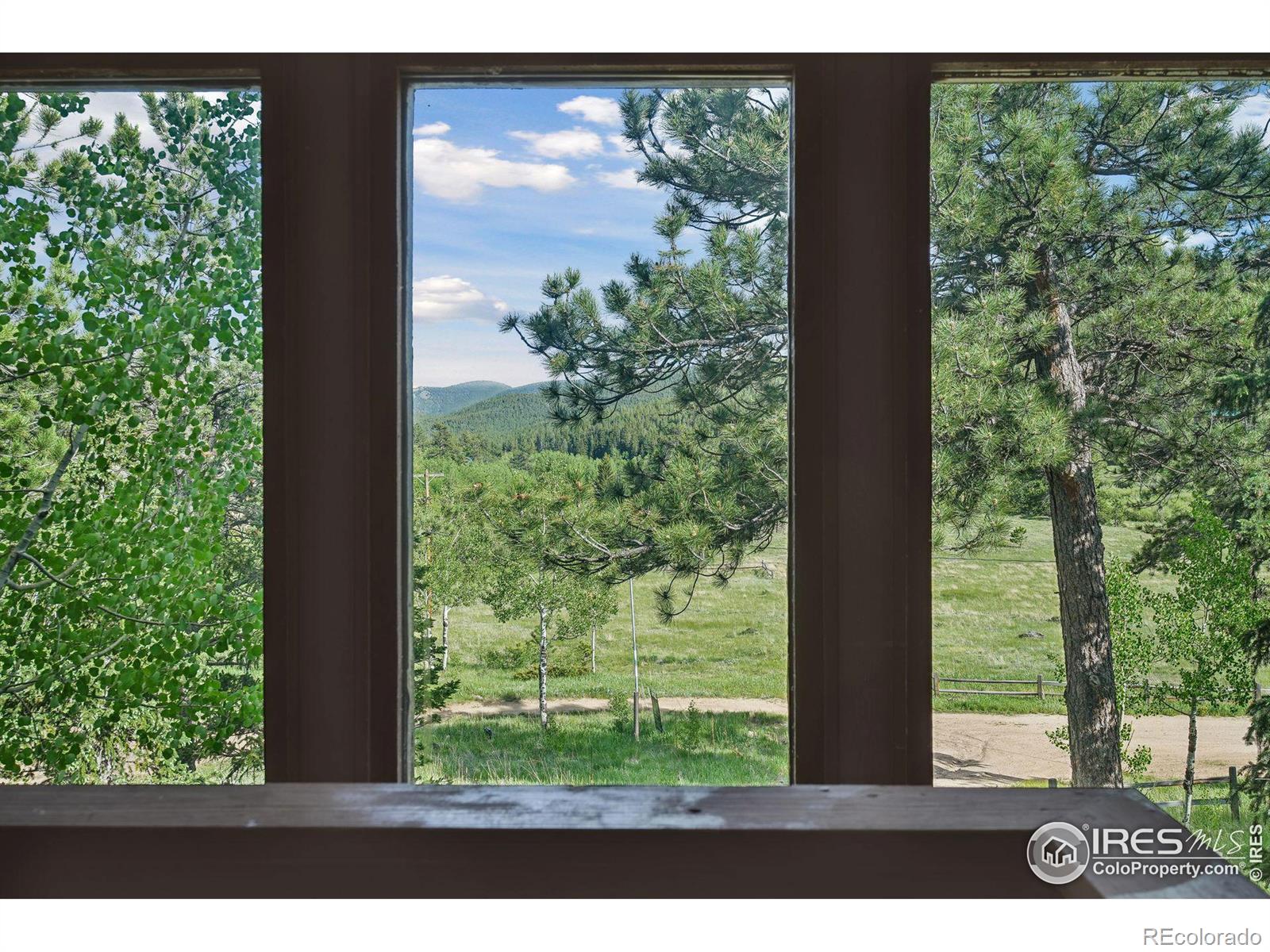 MLS Image #22 for 255  bill waite road,allenspark, Colorado