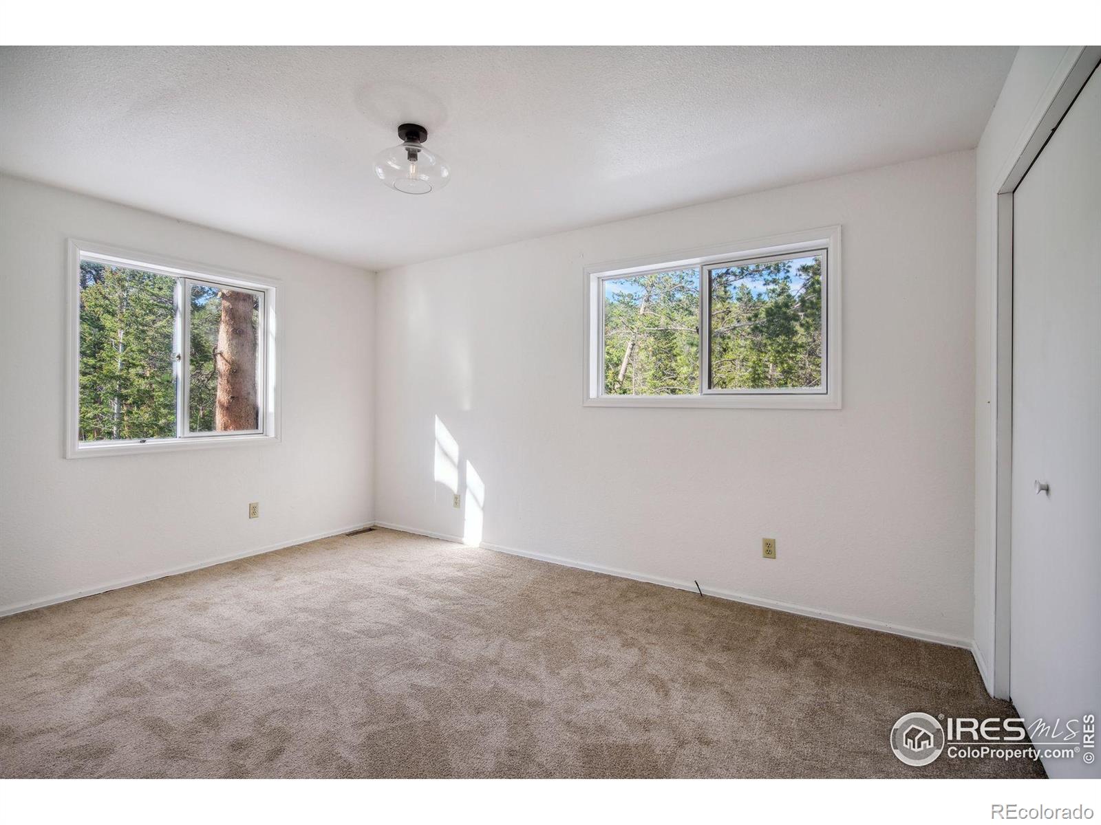 MLS Image #23 for 255  bill waite road,allenspark, Colorado