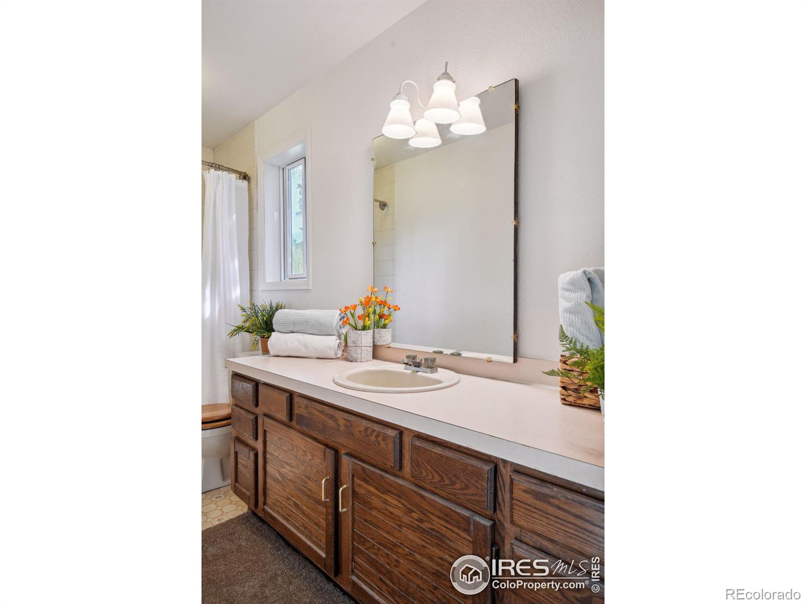 MLS Image #26 for 255  bill waite road,allenspark, Colorado