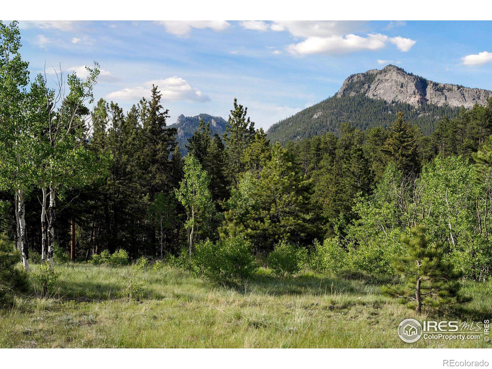 MLS Image #31 for 255  bill waite road,allenspark, Colorado