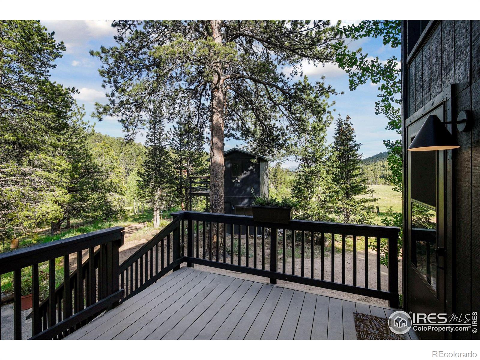 MLS Image #5 for 255  bill waite road,allenspark, Colorado