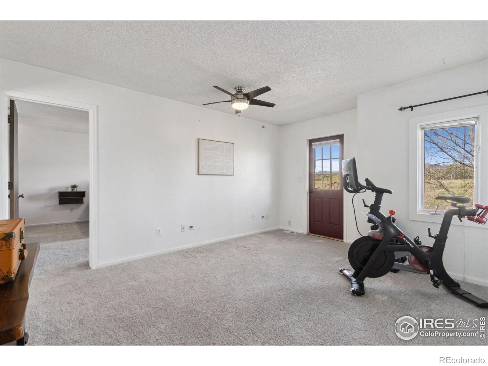 MLS Image #18 for 5409  fossil court,fort collins, Colorado