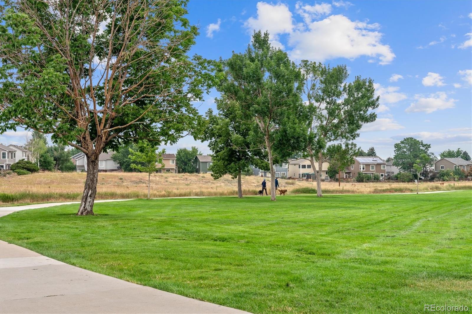 MLS Image #42 for 9611  parramatta place,highlands ranch, Colorado