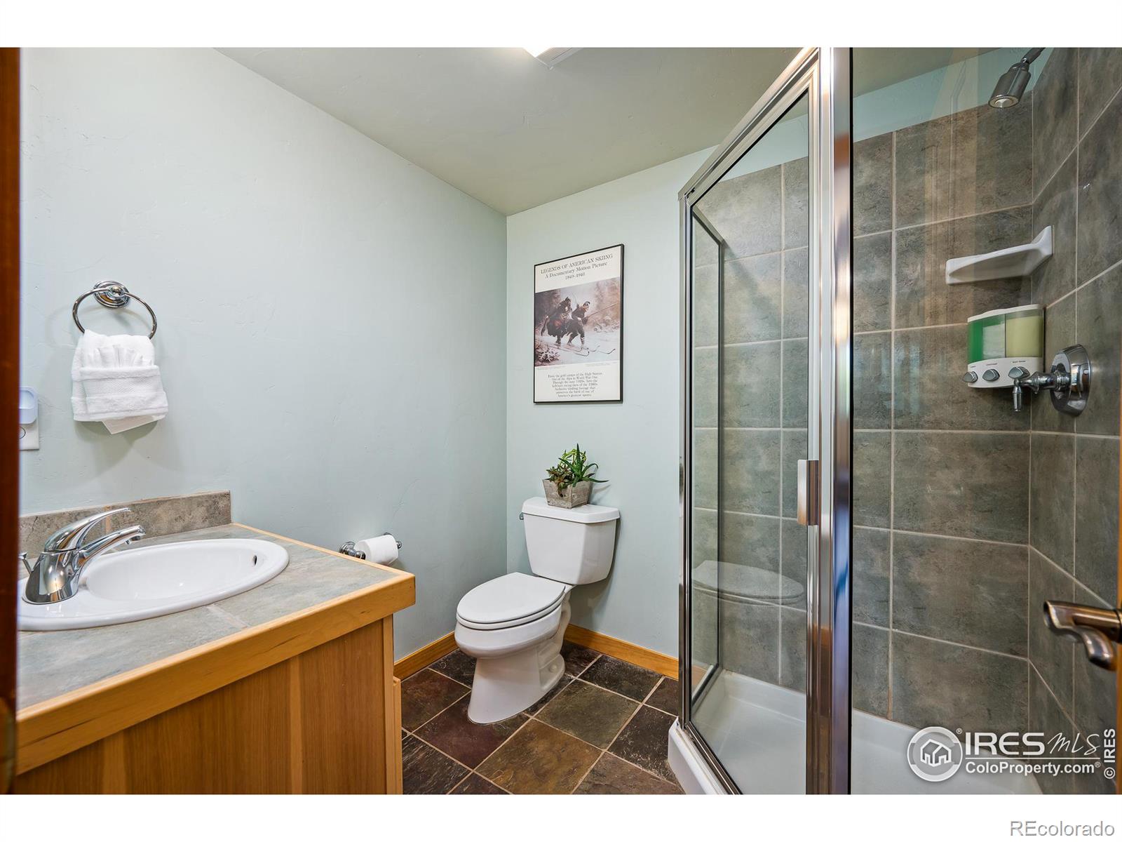 MLS Image #11 for 210  sawyer circle,winter park, Colorado