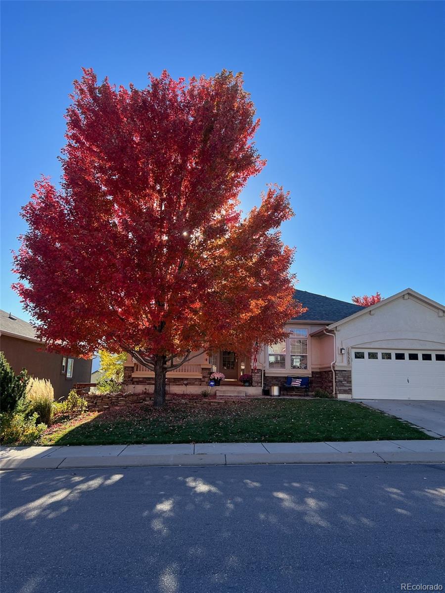 MLS Image #44 for 16220  palace creek drive,monument, Colorado