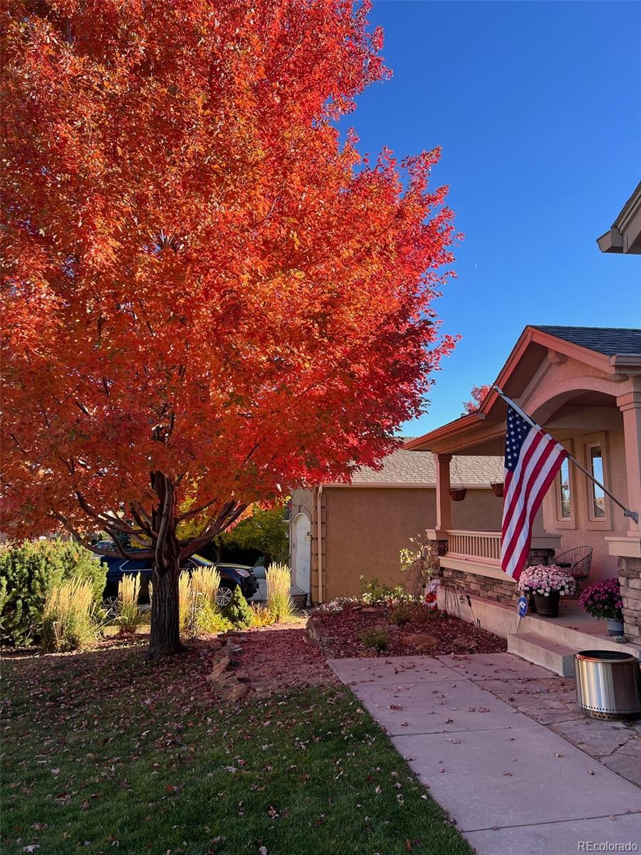 MLS Image #45 for 16220  palace creek drive,monument, Colorado