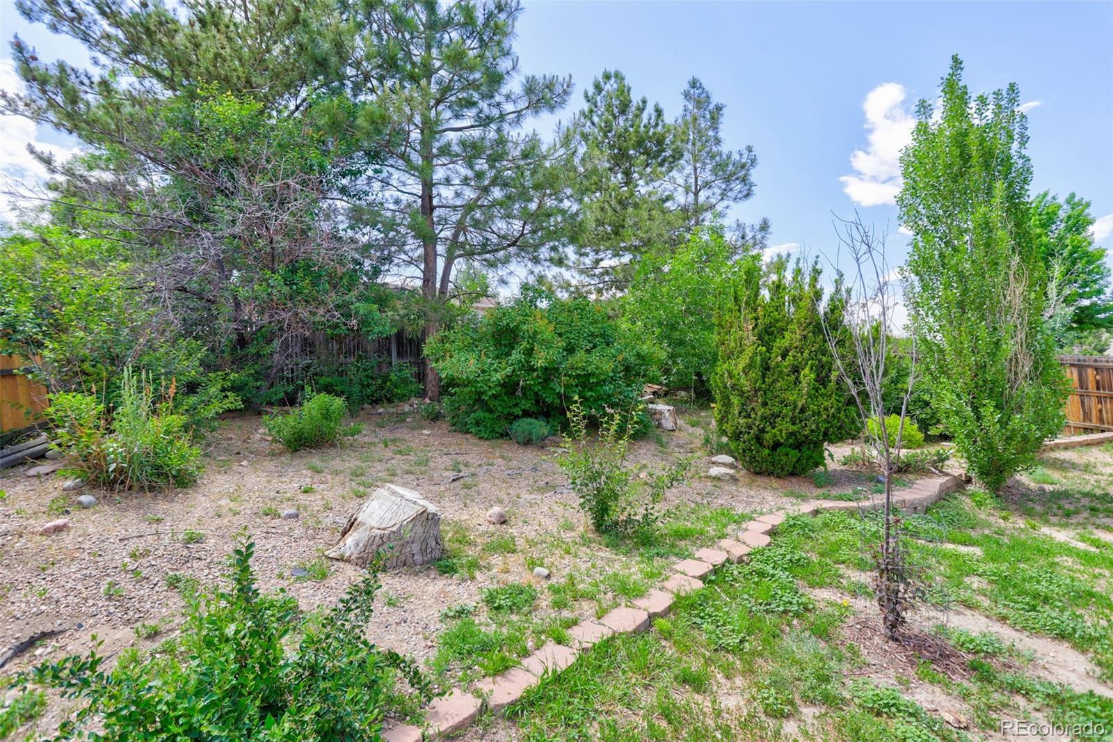 MLS Image #5 for 355  zane court,elizabeth, Colorado