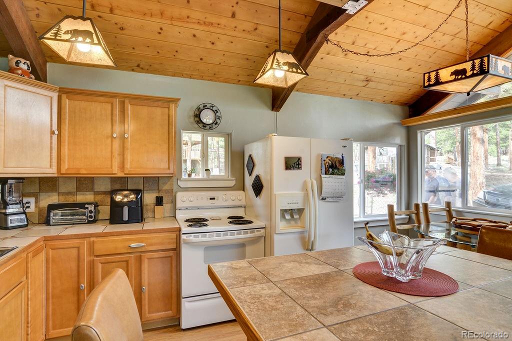 MLS Image #11 for 16240  mt. princeton road,buena vista, Colorado