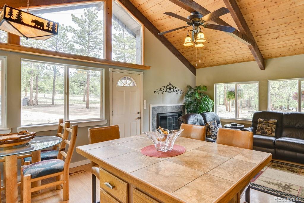 MLS Image #12 for 16240  mt. princeton road,buena vista, Colorado