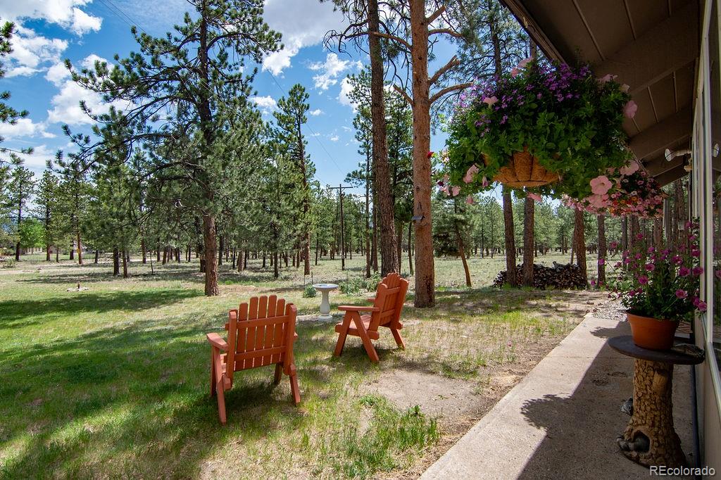 MLS Image #2 for 16240  mt. princeton road,buena vista, Colorado