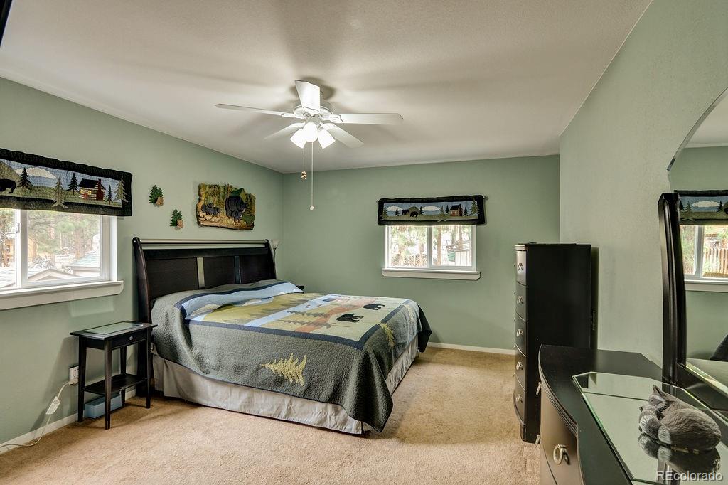 MLS Image #21 for 16240  mt. princeton road,buena vista, Colorado