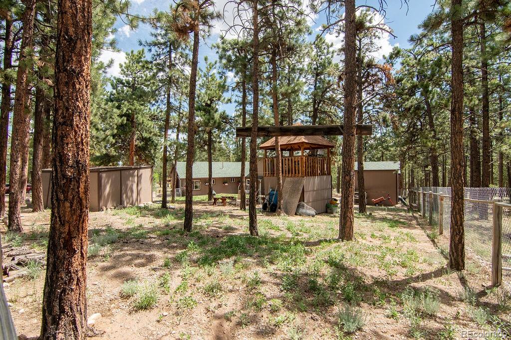 MLS Image #29 for 16240  mt. princeton road,buena vista, Colorado