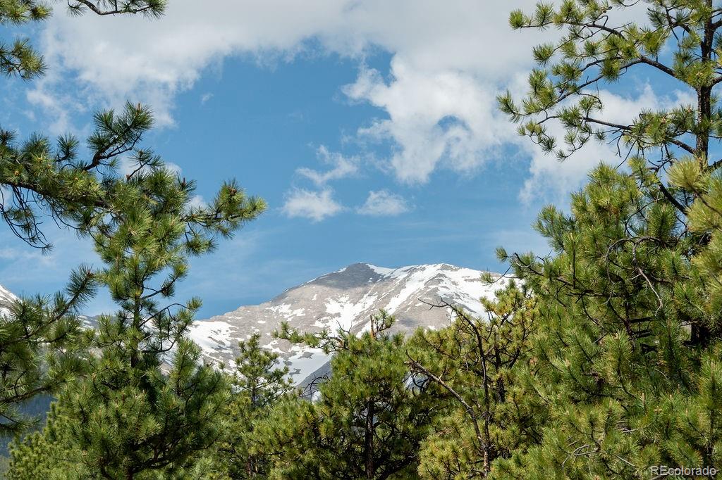 MLS Image #5 for 16240  mt. princeton road,buena vista, Colorado