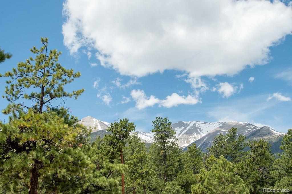 MLS Image #6 for 16240  mt. princeton road,buena vista, Colorado