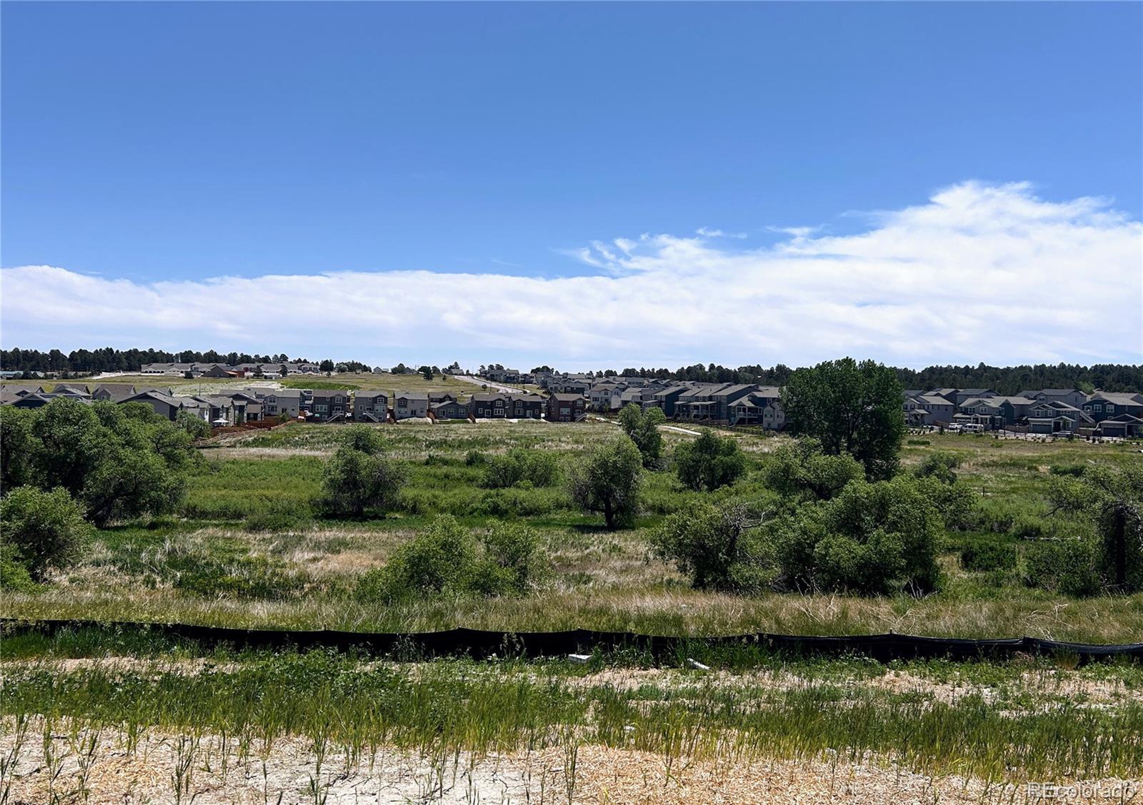 MLS Image #7 for 3833  doubletrack lane,castle rock, Colorado