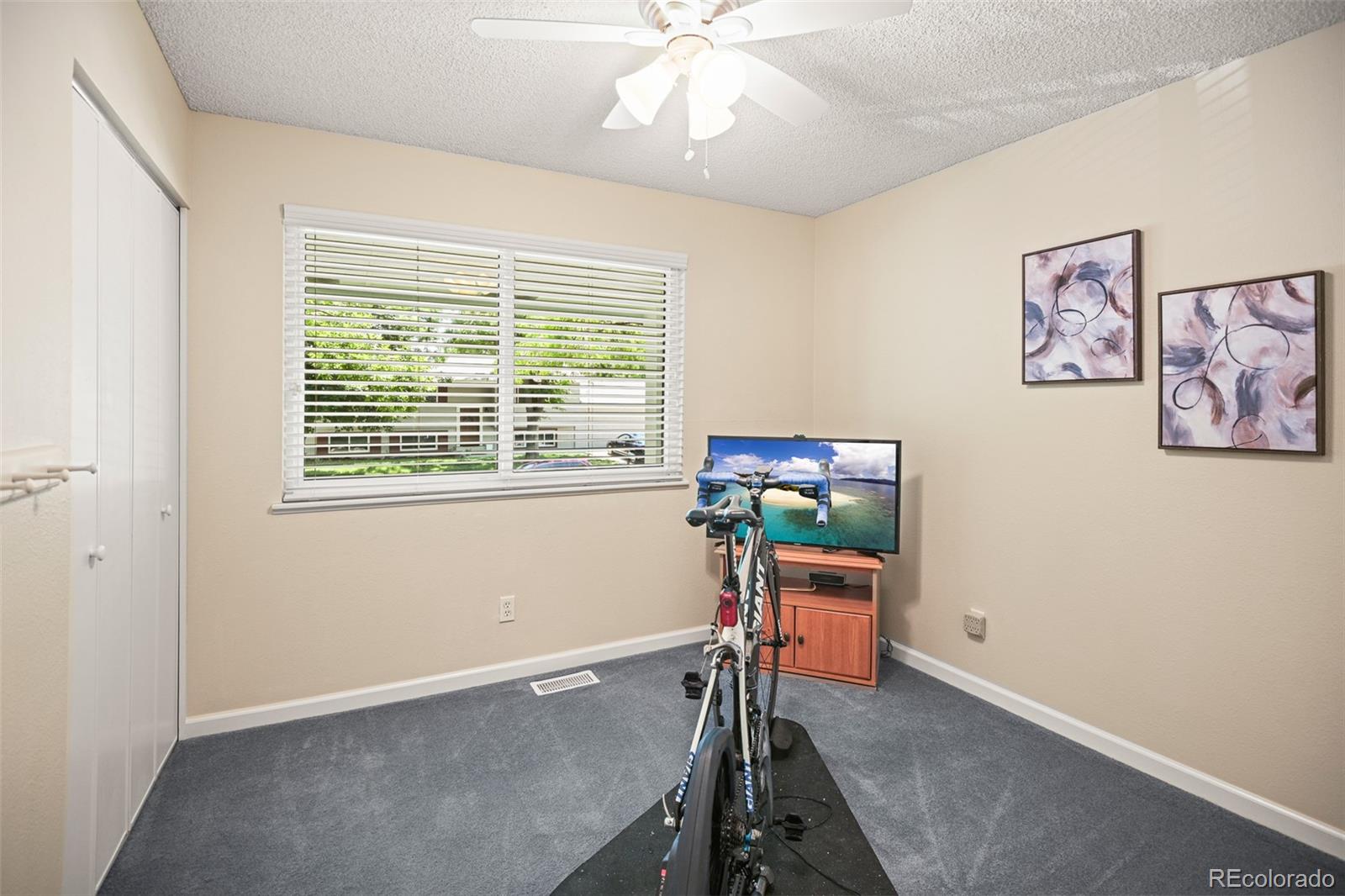 MLS Image #12 for 1063 e fremont circle,centennial, Colorado