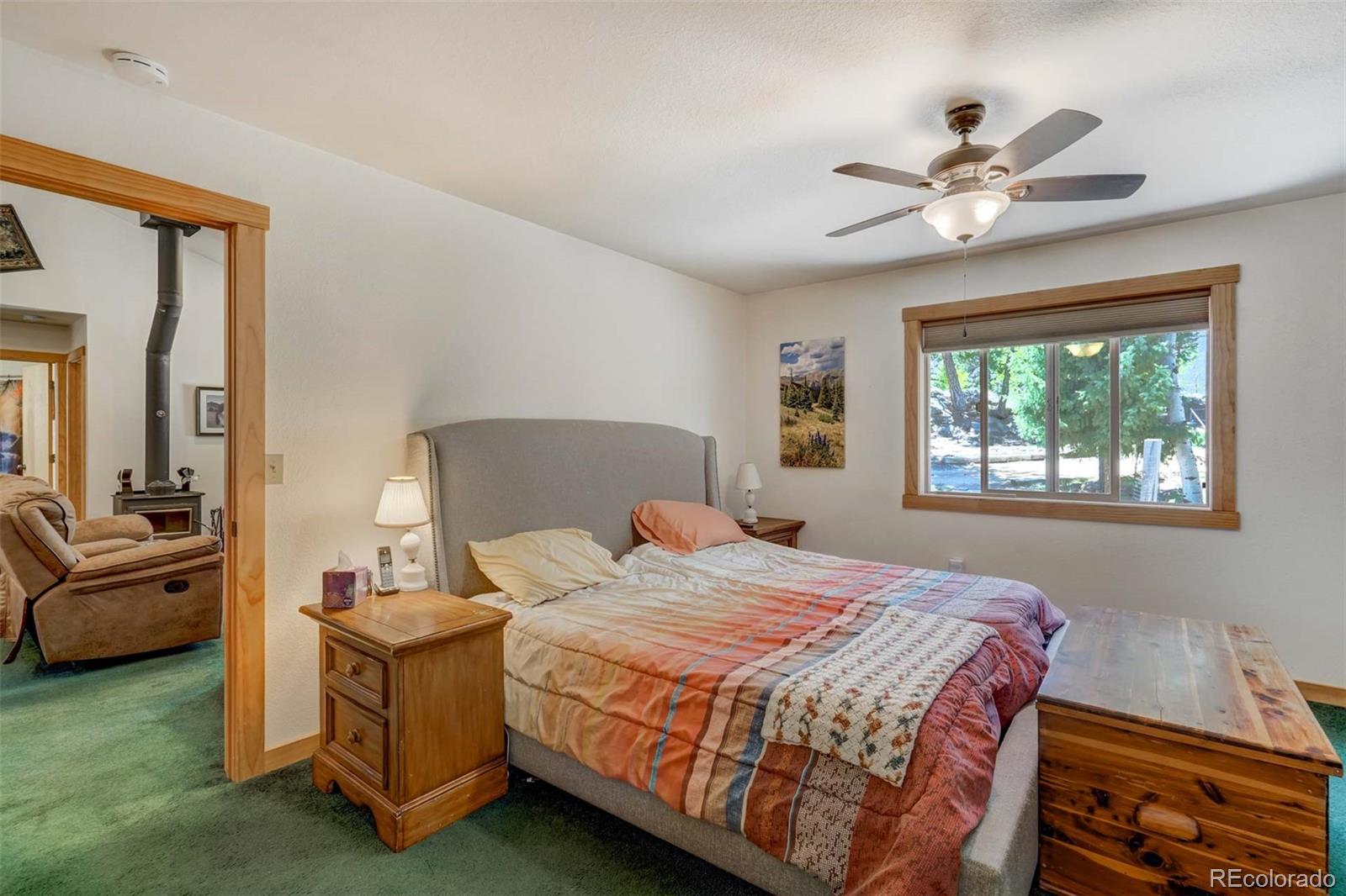 MLS Image #14 for 453  castle mountain drive,guffey, Colorado