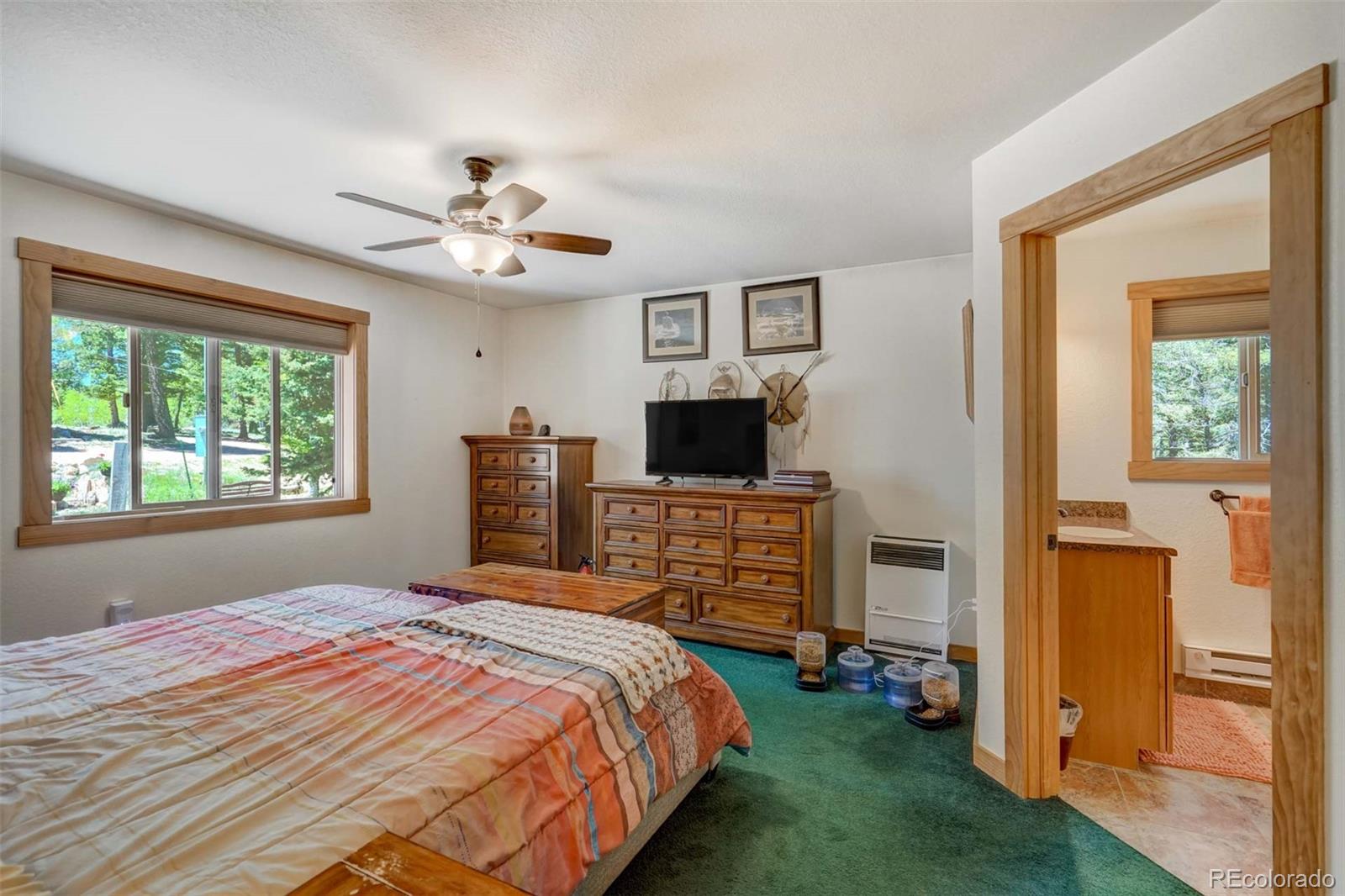 MLS Image #15 for 453  castle mountain drive,guffey, Colorado