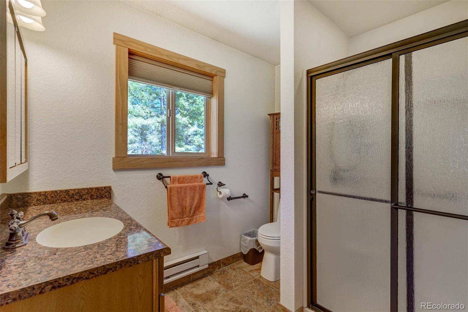 MLS Image #16 for 453  castle mountain drive,guffey, Colorado
