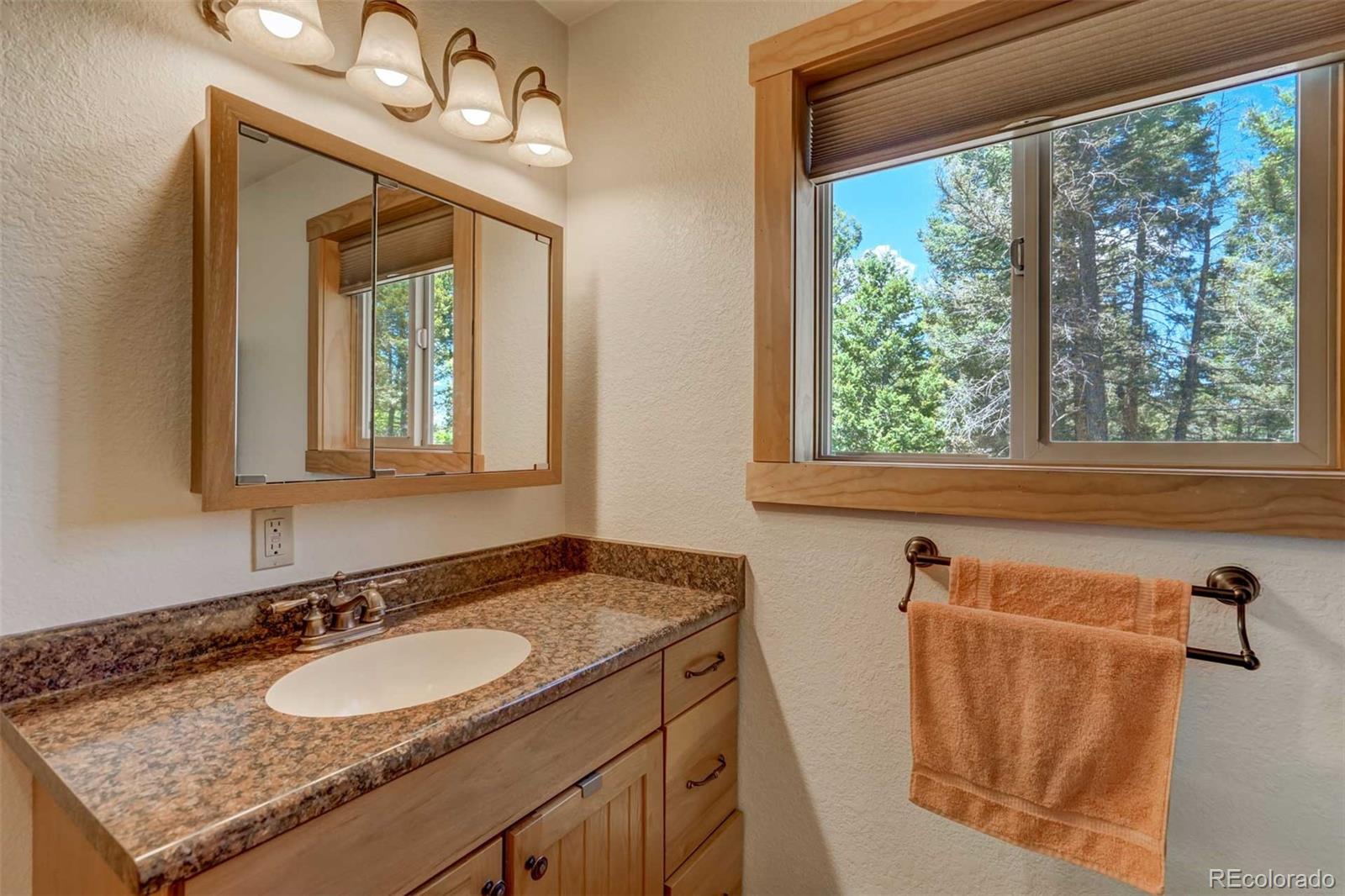MLS Image #17 for 453  castle mountain drive,guffey, Colorado