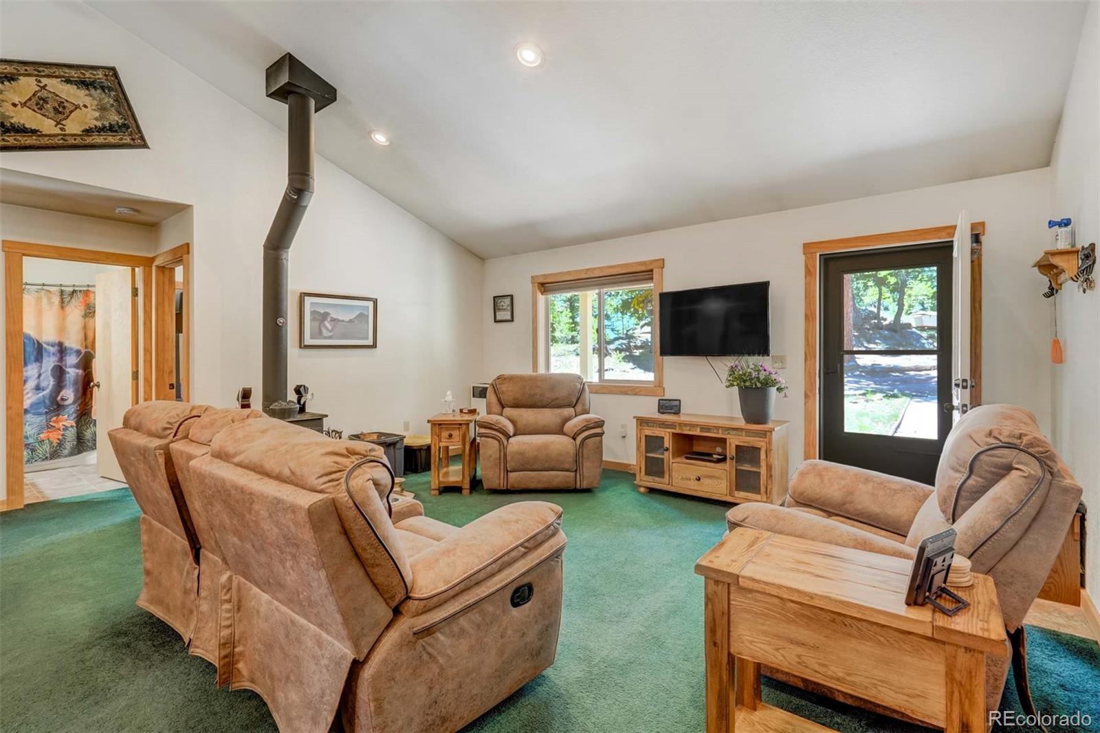 MLS Image #20 for 453  castle mountain drive,guffey, Colorado