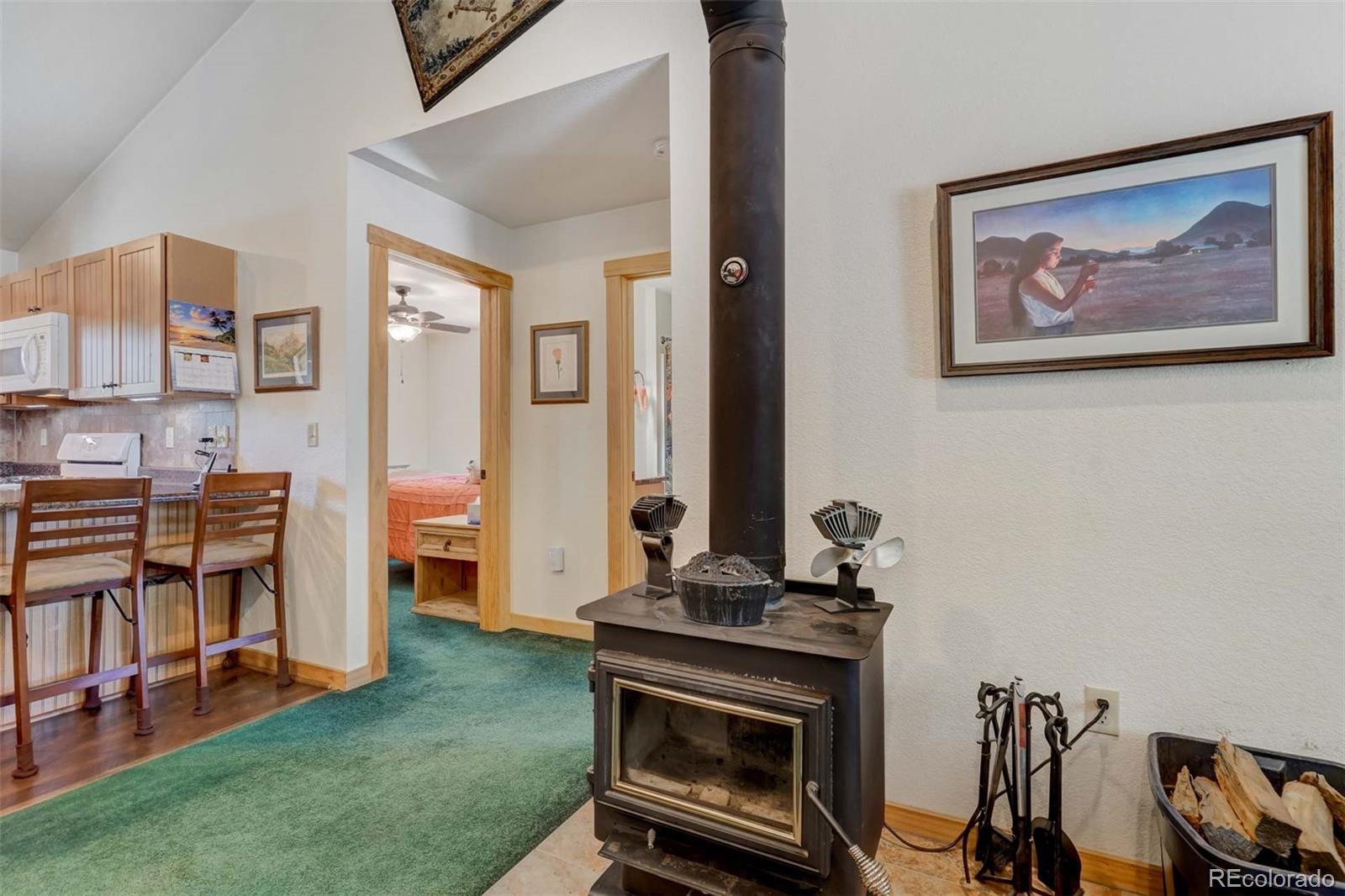 MLS Image #21 for 453  castle mountain drive,guffey, Colorado