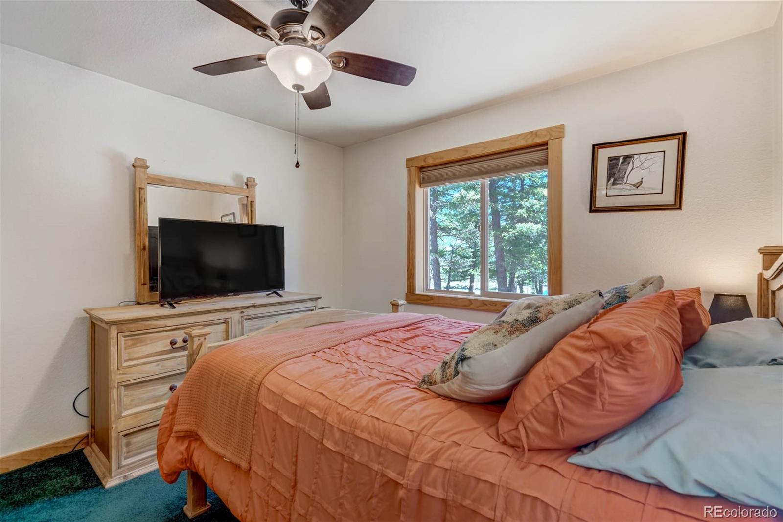MLS Image #23 for 453  castle mountain drive,guffey, Colorado