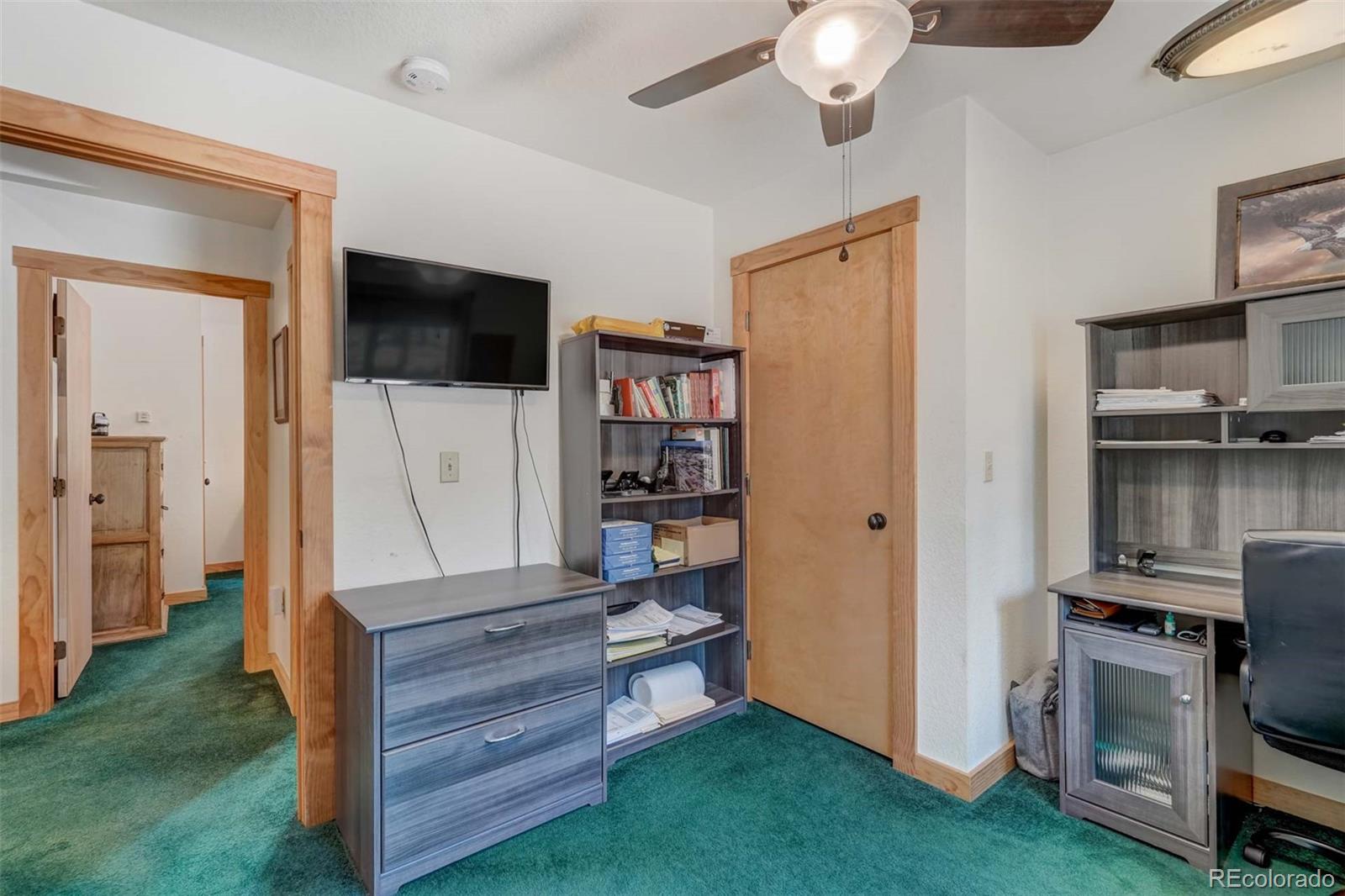 MLS Image #26 for 453  castle mountain drive,guffey, Colorado
