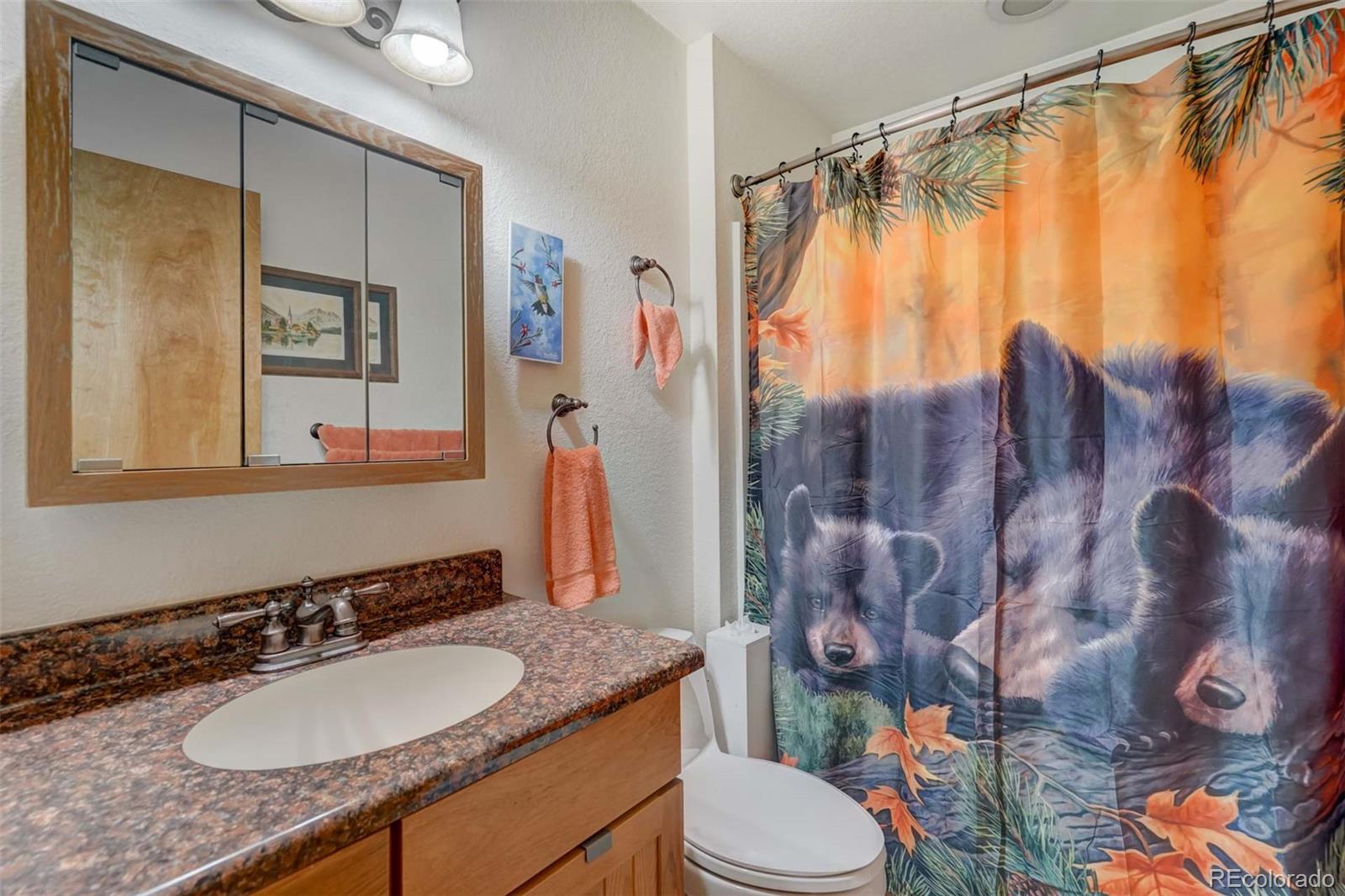 MLS Image #27 for 453  castle mountain drive,guffey, Colorado