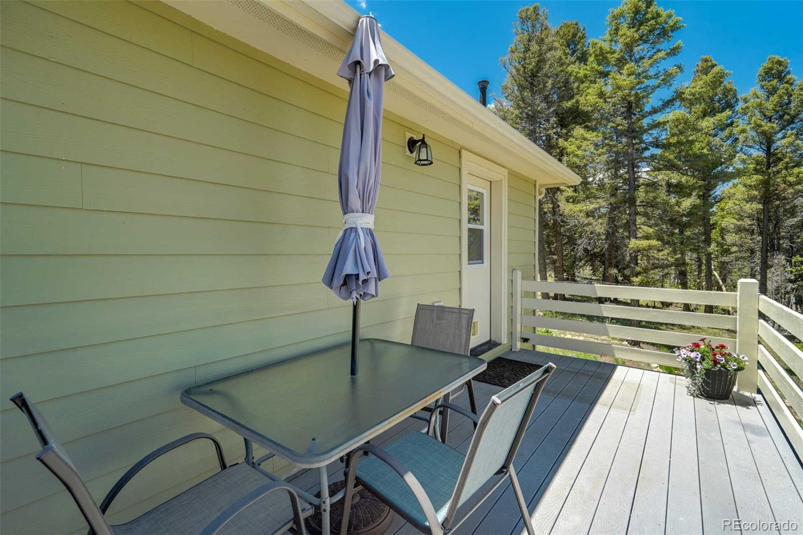 MLS Image #33 for 453  castle mountain drive,guffey, Colorado