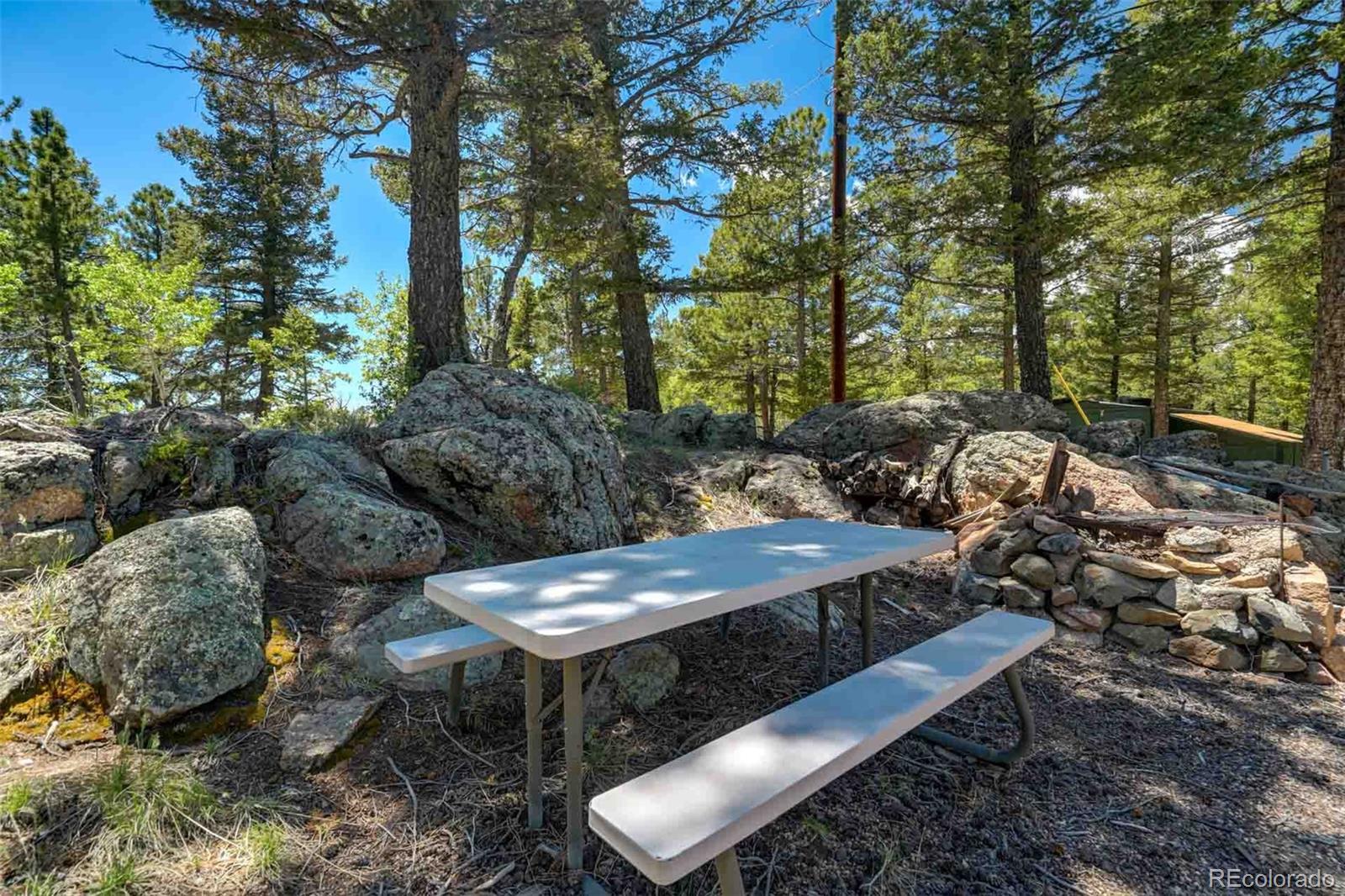 MLS Image #45 for 453  castle mountain drive,guffey, Colorado