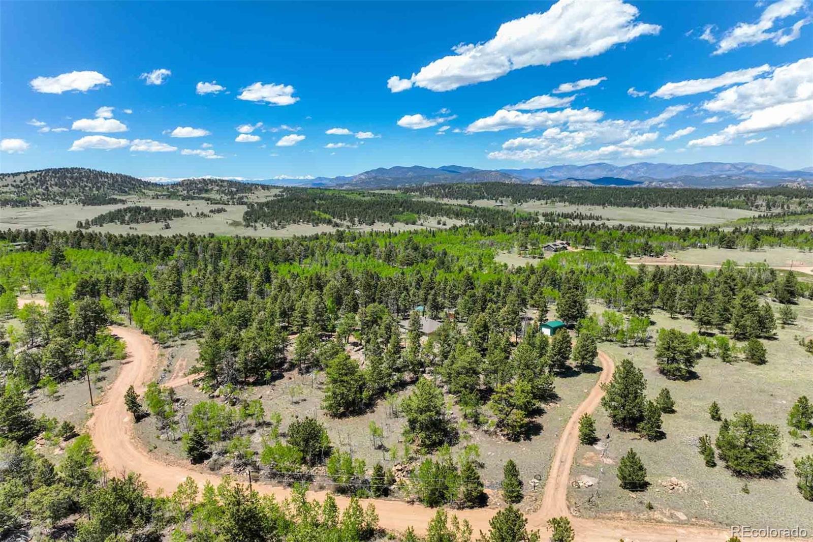 MLS Image #49 for 453  castle mountain drive,guffey, Colorado