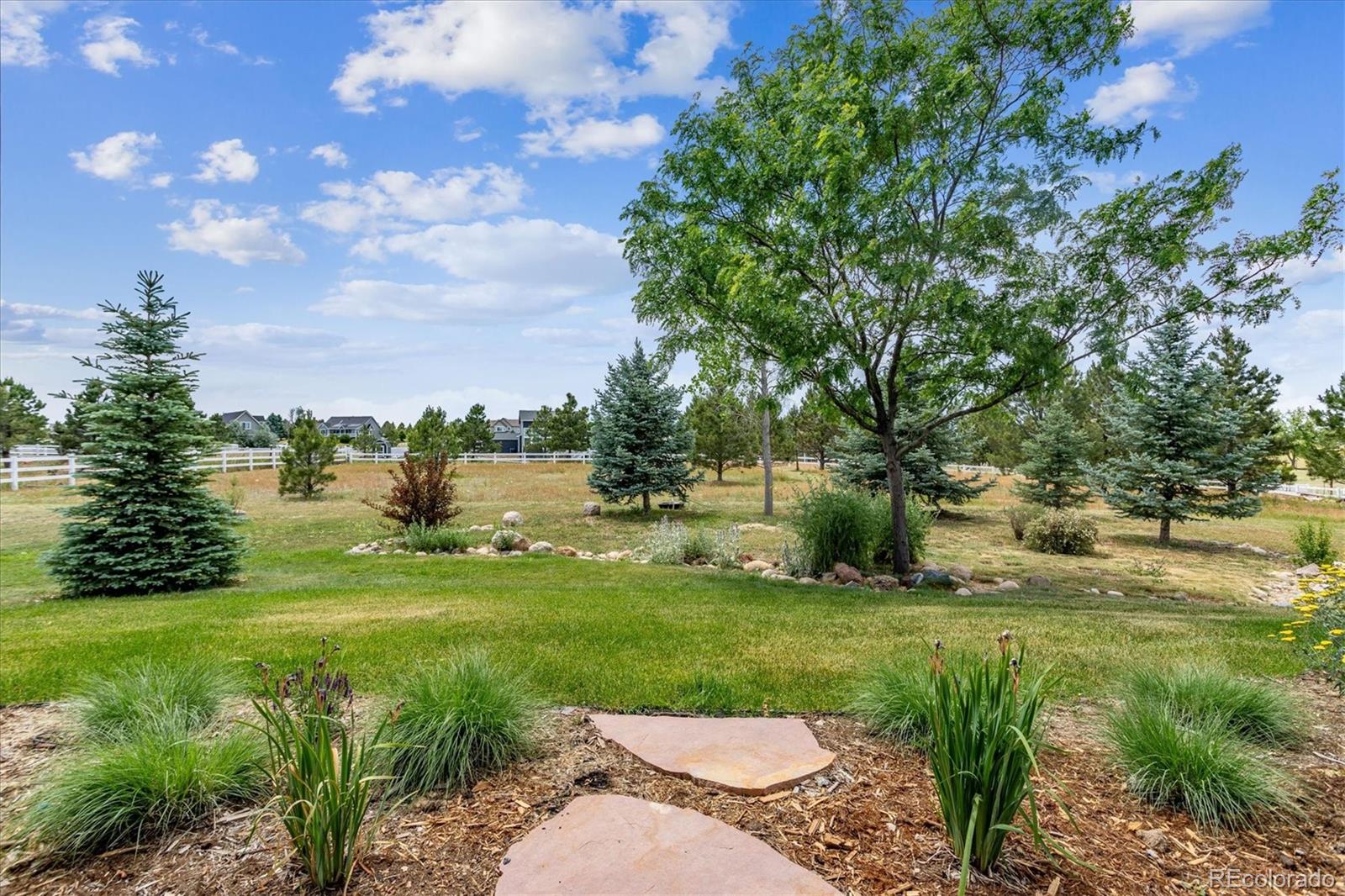 MLS Image #38 for 41445  golden field circle,parker, Colorado