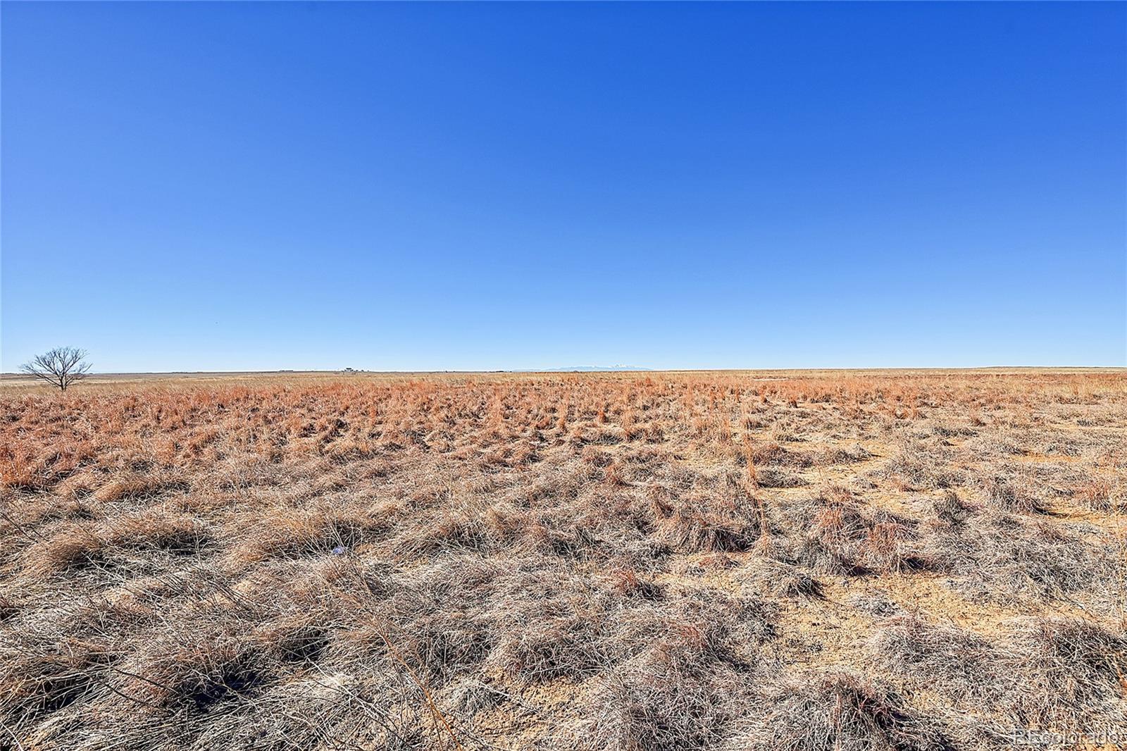 MLS Image #25 for 17251  county road 2 ,rush, Colorado