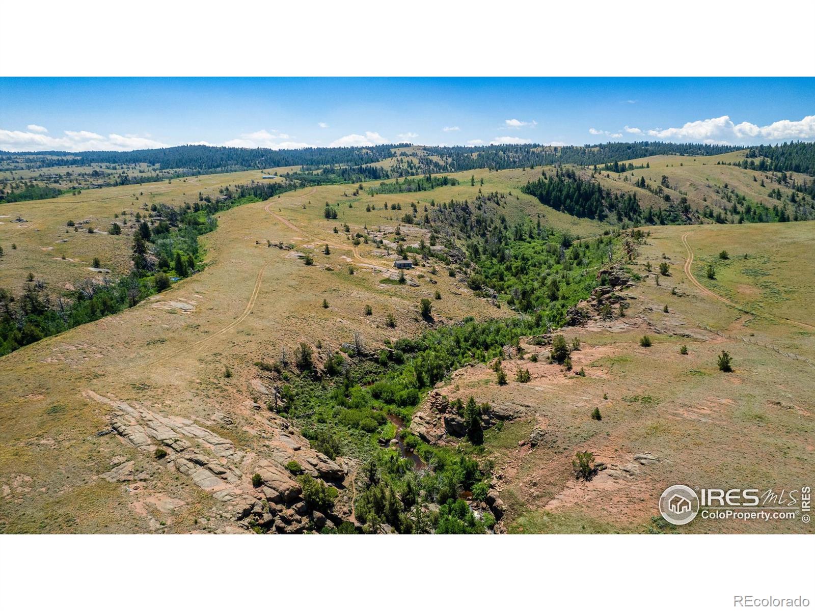 MLS Image #31 for 3427  owl spring lane,red feather lakes, Colorado