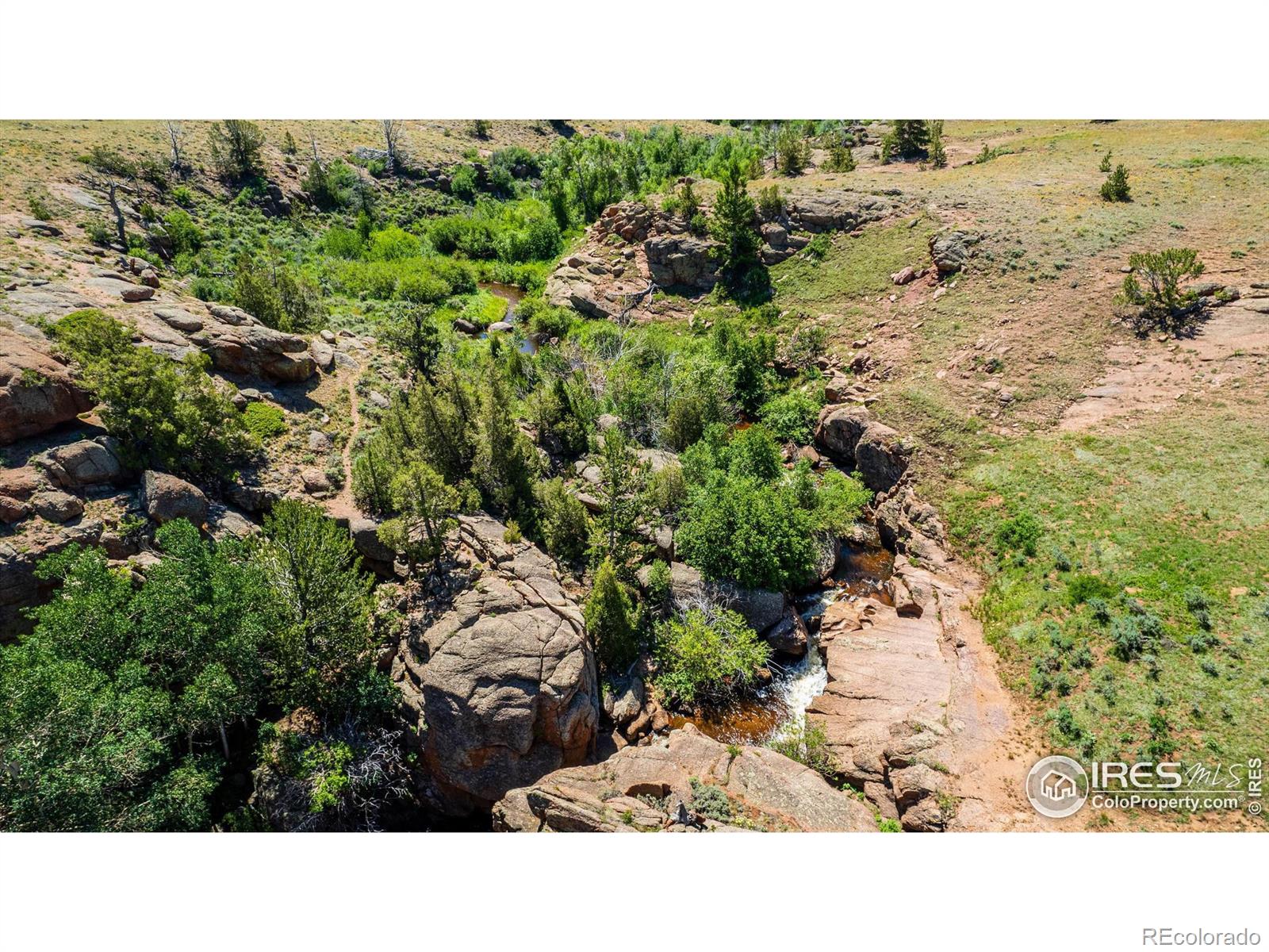 MLS Image #6 for 3427  owl spring lane,red feather lakes, Colorado