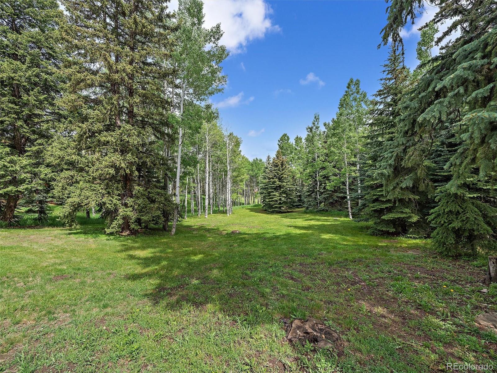 MLS Image #12 for 26995  wapiti drive,evergreen, Colorado