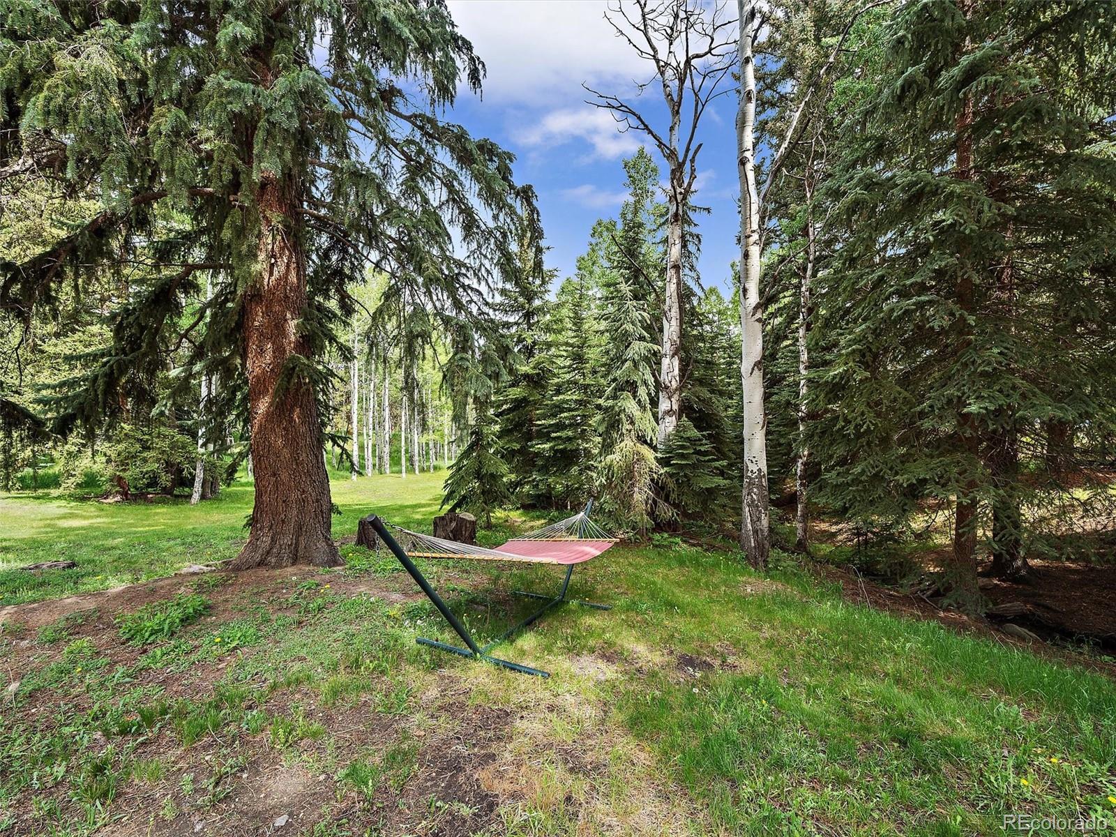 MLS Image #44 for 26995  wapiti drive,evergreen, Colorado