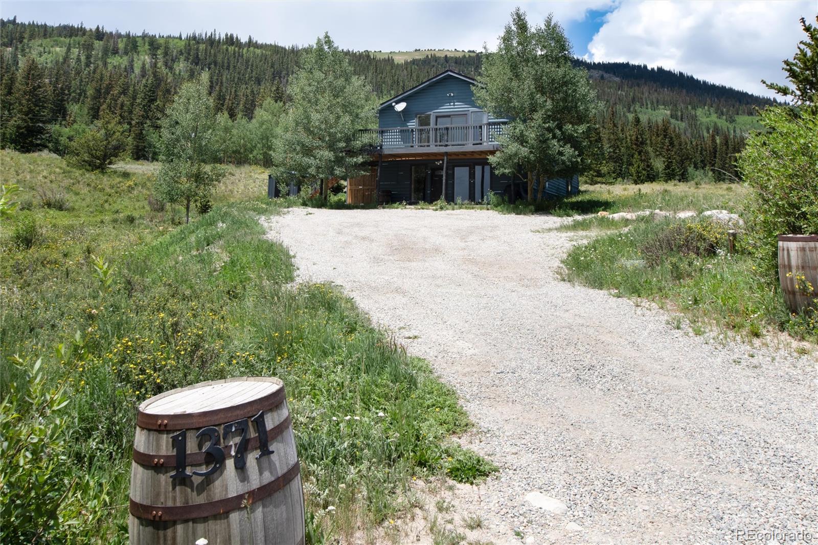 MLS Image #3 for 1371  county road 6 ,alma, Colorado