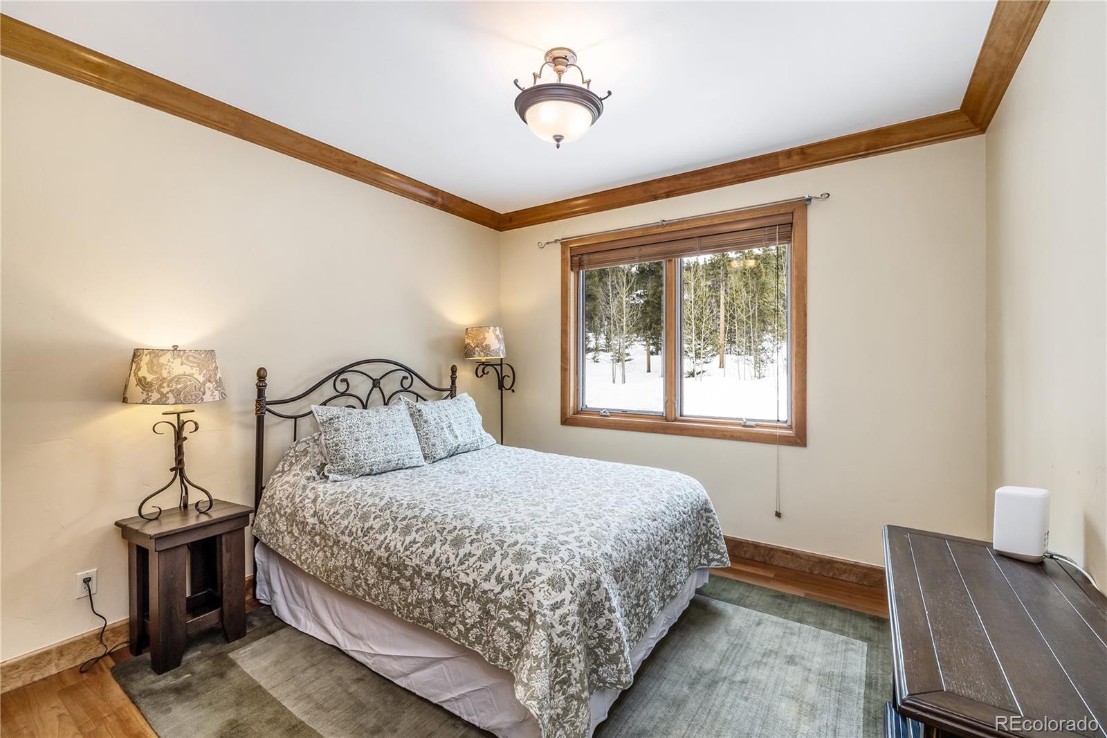 MLS Image #20 for 161  dyer trail,breckenridge, Colorado